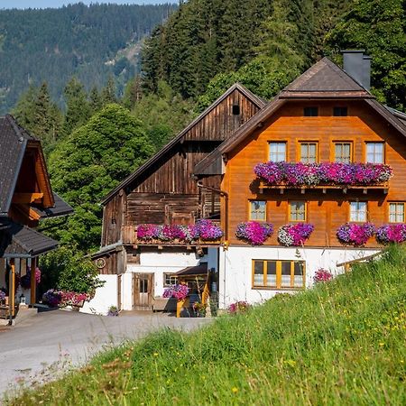 Bio-Bauernhof Grundlehnerhof Pensionat Ramsau am Dachstein Eksteriør billede