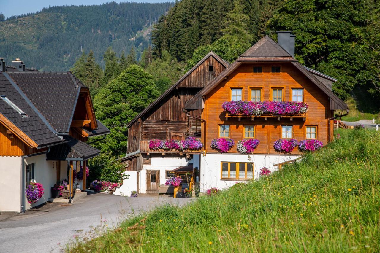 Bio-Bauernhof Grundlehnerhof Pensionat Ramsau am Dachstein Eksteriør billede