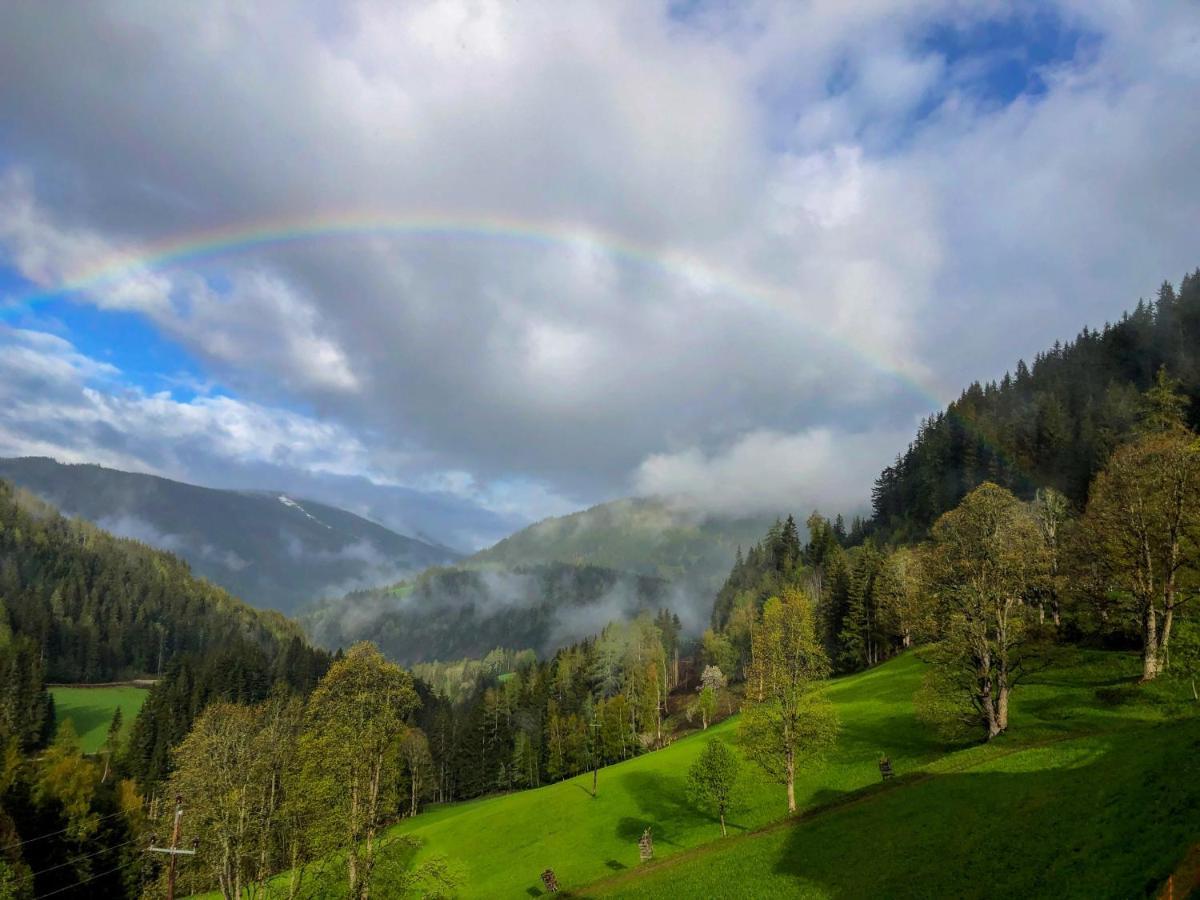 Bio-Bauernhof Grundlehnerhof Pensionat Ramsau am Dachstein Eksteriør billede