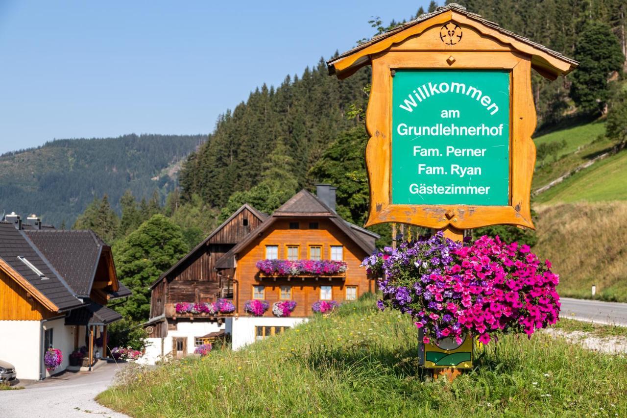 Bio-Bauernhof Grundlehnerhof Pensionat Ramsau am Dachstein Eksteriør billede