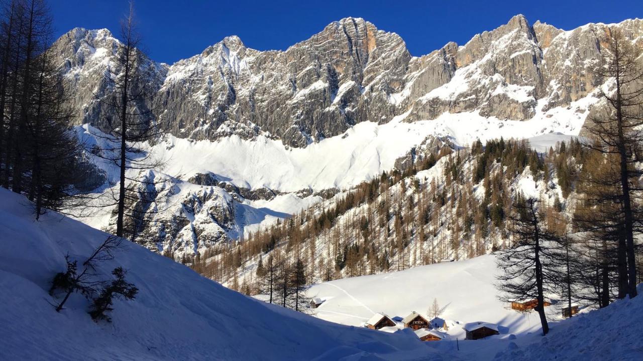 Bio-Bauernhof Grundlehnerhof Pensionat Ramsau am Dachstein Eksteriør billede