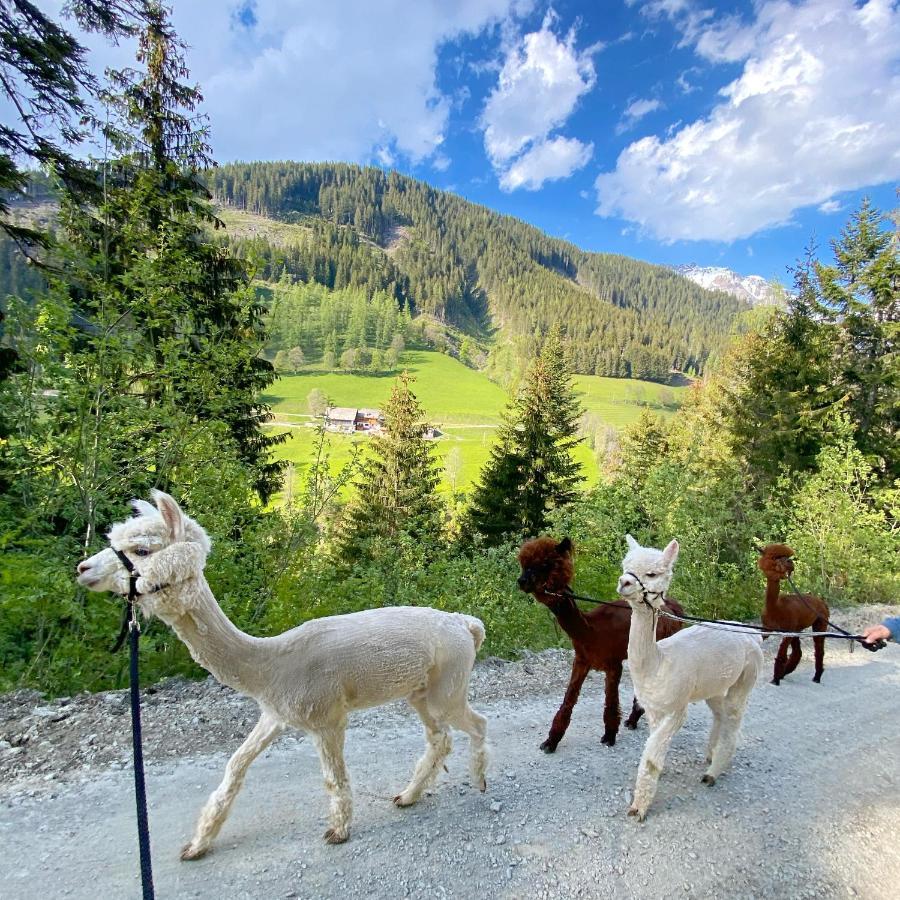 Bio-Bauernhof Grundlehnerhof Pensionat Ramsau am Dachstein Eksteriør billede