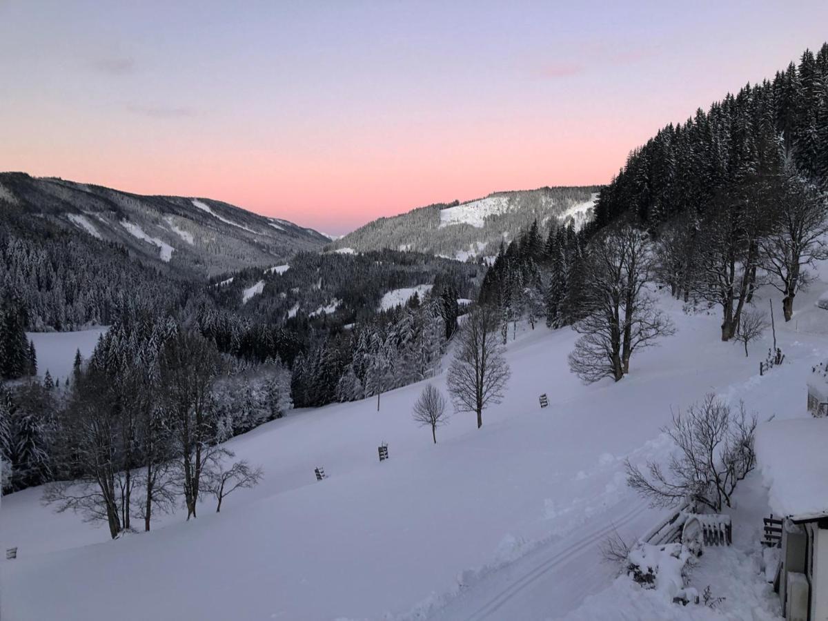 Bio-Bauernhof Grundlehnerhof Pensionat Ramsau am Dachstein Eksteriør billede