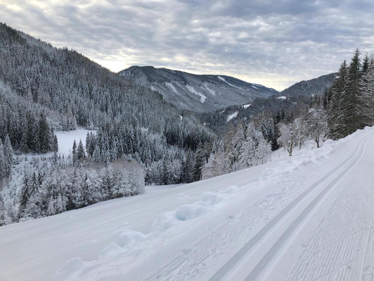 Bio-Bauernhof Grundlehnerhof Pensionat Ramsau am Dachstein Eksteriør billede