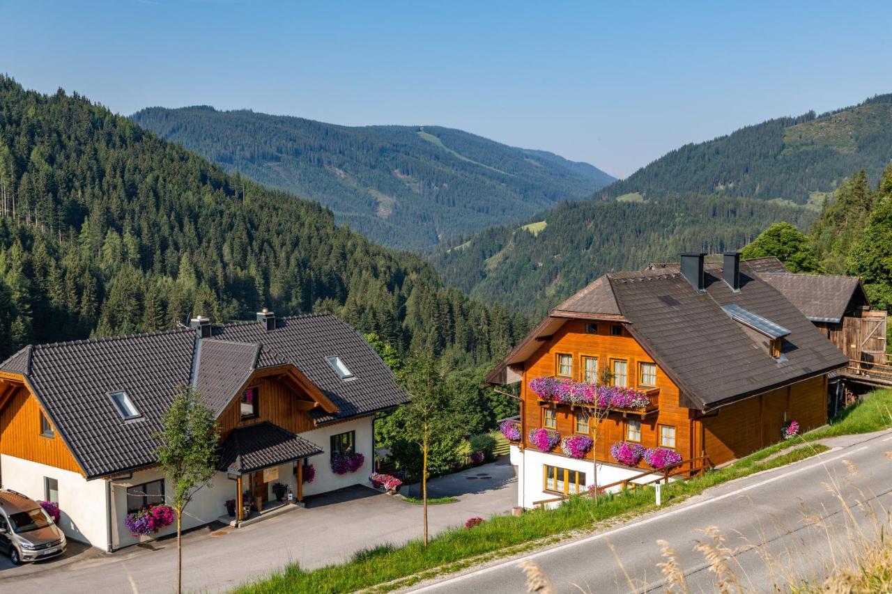 Bio-Bauernhof Grundlehnerhof Pensionat Ramsau am Dachstein Eksteriør billede